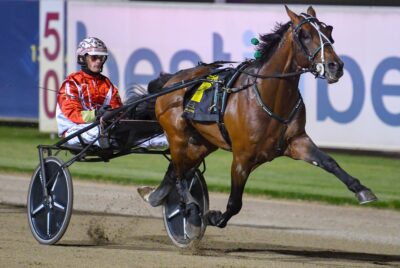 Golden Ticket winners shine at Menangle