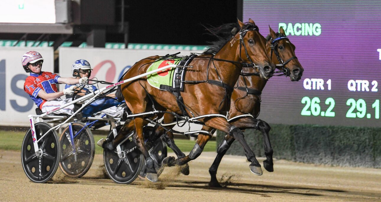 Grimson gives Jett Turnbull his first Inter Dominion campaign