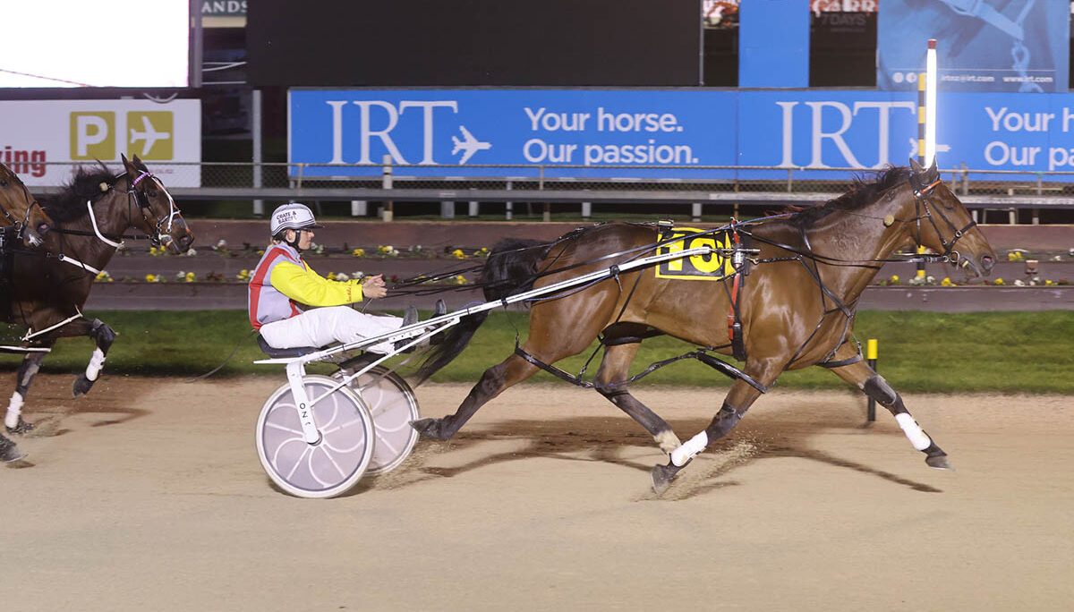 Shock Late Kiwi Entry For Inter Dominion