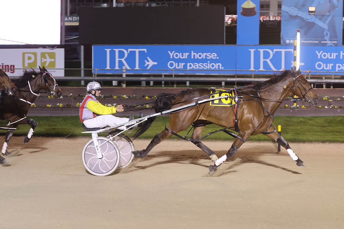 Shock Late Kiwi Entry For Inter Dominion