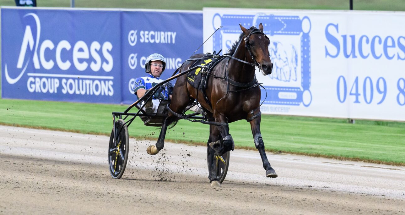 The timing is right for Don Hugo in Inter Dominion Pacers Final