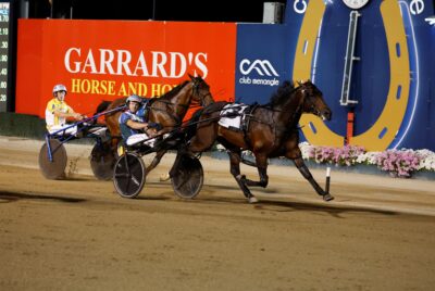 Don Hugo’s the new king of Menangle