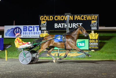 Star mare remains unbeaten in NSW Inter Dominion Series